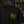 Evolution Cycles Logo Tee