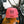 Pink EC Logo Hat