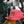 Pink EC Logo Hat
